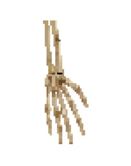 Realistic Hand Bones