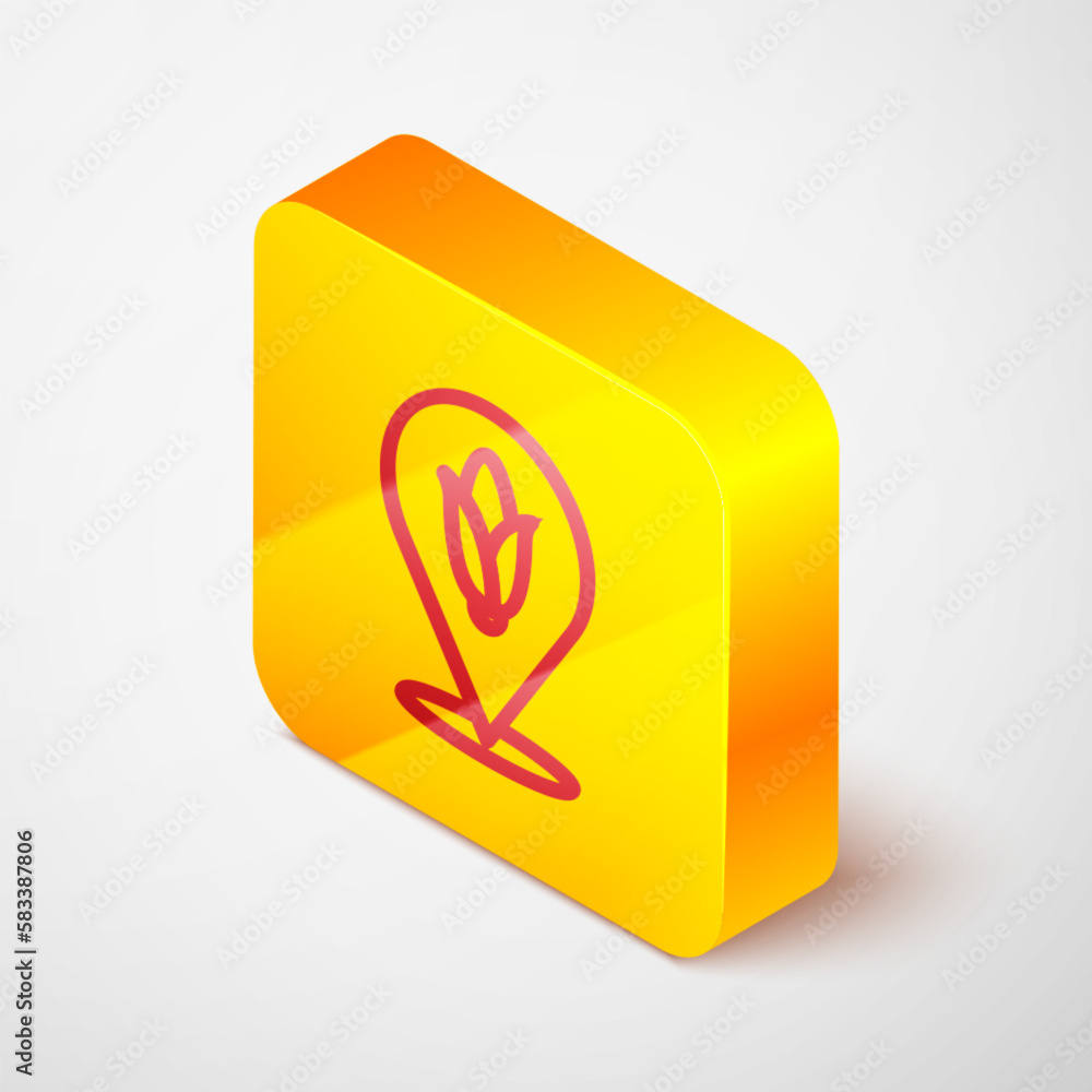 Poster isometric line location corn icon isolated on grey background. yellow square button. vector