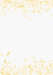 Light Blossom Japan Vector Transparent