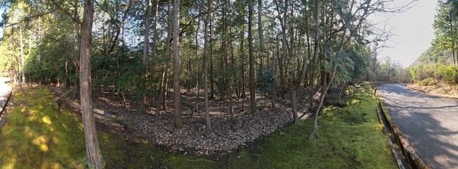 山陰海岸国立公園　かぶと山の原野　ドローンパノラマ撮影