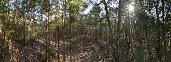 山陰海岸国立公園　かぶと山の原野　ドローンパノラマ撮影