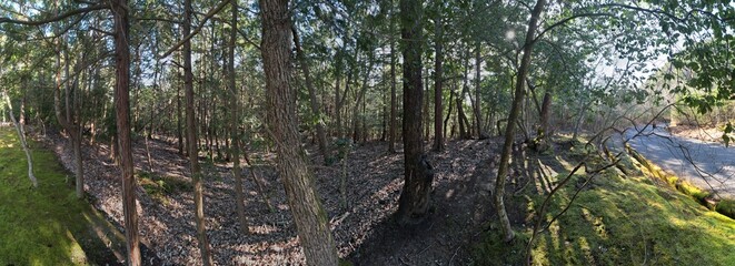 山陰海岸国立公園　かぶと山の原野　ドローンパノラマ撮影