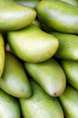 Ripe green mangoes at the fruit market. Harvest of exotic sweet mangoes and fruits. Selected focus