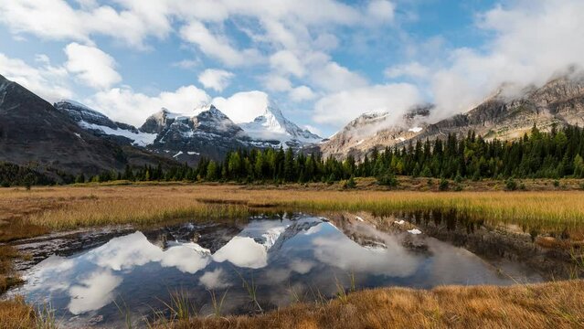 Scenery of Mount Assiniboine with pond reflection on golden meadow in autumn forest at Assiniboine provincial park