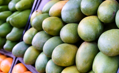Ripe green mangoes at the fruit market. Harvest of exotic sweet mangoes and fruits. Selected focus