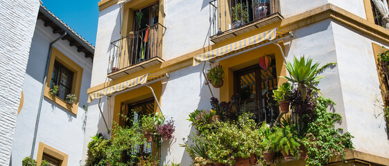 Fototapeta na wymiar Fachada de arquitectura tradicional del sur de España con casas blancas, ciudad de Granada