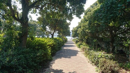 path in the park