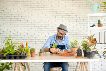 An elderly man handsome with have mustache wearing glasses is happy with tree care. is a hobby of gardening at home, living happily after retirement. Concepts nature and environment