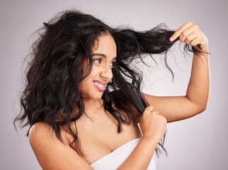 Woman, messy hair and disgust for entangled problem holding split ends against white studio...