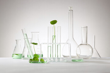 Test tubes, petri dish with gotu kola leaves placed on and other laboratory glassware decorated on...