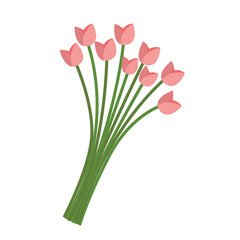 pastel hand draw flowers