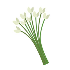 pastel hand draw flowers