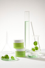 An erlenmeyer flask with glass rod and gotu kola leaves, petri dish and two empty label jars....