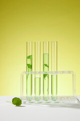 Some glass transparent test tubes containing liquid and gotu kola leaves on light background. Promotion for cosmetic product extracted from Gotu kola (Centella asiatica)