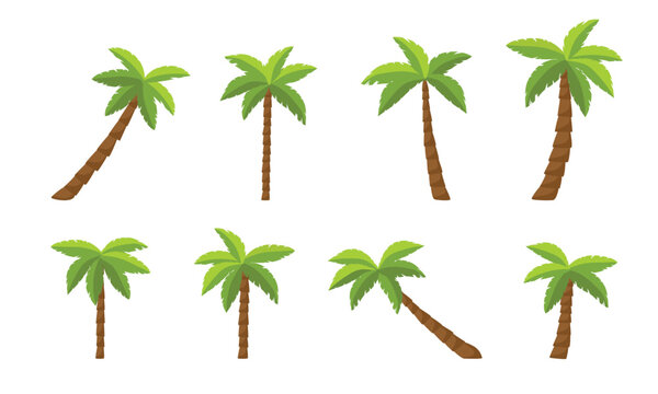 A cartoon drawing of palm trees. Set of palm trees. Vector illustration with palm tree