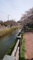 bridge over river