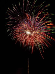 fireworks in the night sky