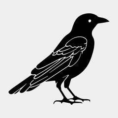 crow sitting vector silhouette isolated