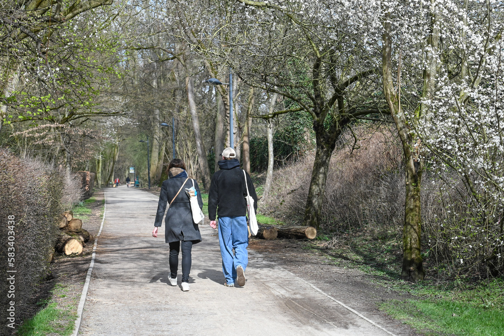 Sticker loisir promenade printemps climat environnement arbre nature fleur detente sentier balade gens couple