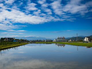 Fototapeta na wymiar Rice farm in Yilan,Taiwan.
