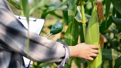 Cropped image of an Asian female farmer working in the corn field, using a soil meter
