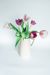 Tulpen