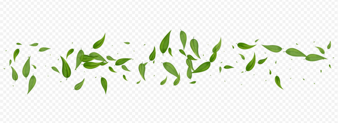 Swamp Leaf Swirl Vector Panoramic Transparent