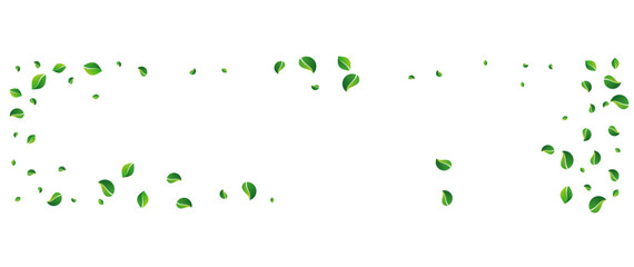 Grassy Leaves Ecology Vector Panoramic White
