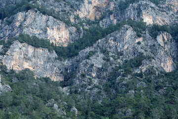Fototapeta na wymiar cliff face forestry mountains at Turkey country