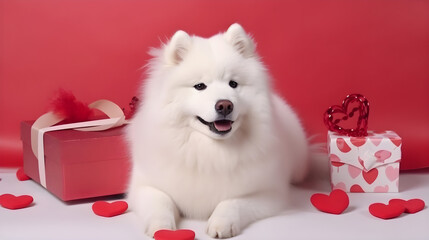 AI Generated, Valentine day background for samoyed, cat, shiba, corgi lover with gift box and various red hearts. flat lay style greeting composition.