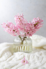 Fototapeta na wymiar Pink hyacinth flower on a light background