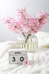 Obraz na płótnie Canvas Pink hyacinth in vase and calendar date April 30. Included in the group of horizontal and vertical photos with all April dates