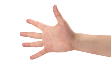 Open male hand cut out