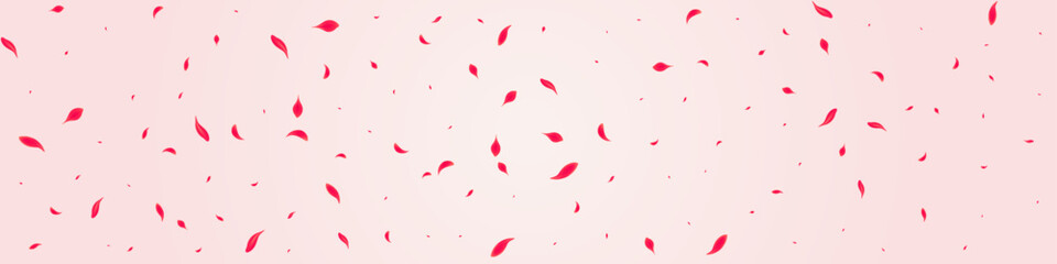 Carmine Petal Vector Pink Panoramic Background.