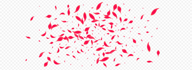 Fototapeta premium Delicate Rose Vector Transparent Panoramic
