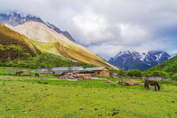 Naklejka premium Beautiful Plateau Pasture and Meili Snow Mountain in Linzhi City, Tibet Autonomous Region, China 