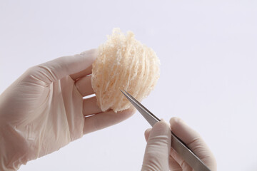 A gloved hand model is holding an edible bird’s nest and a tweezers on another hand with white...