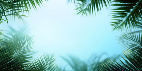 Fototapeta na wymiar palm leaves frame on light blue background, summer banner advertising concept, background