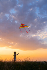 Fototapeta na wymiar Happy little kid boy having fun with kite in nature at sunset
