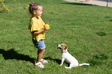 Little girl playing with her pet dog Jack Russell Terrier in park.