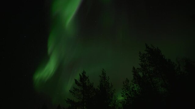 Green northern lights in night sky with trees in foreground, timelapse