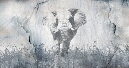 Beautiful  illustration with elephant on concrete grunge wall. Foresty background for wallpaper, photo wallpaper, mural, card, postcard, painting. Design in the loft, classic, modern style. - obrazy, fototapety, plakaty