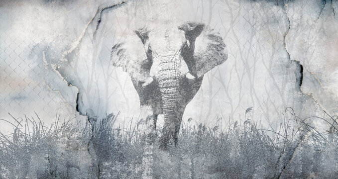Fototapeta Beautiful  illustration with elephant on concrete grunge wall. Foresty background for wallpaper, photo wallpaper, mural, card, postcard, painting. Design in the loft, classic, modern style.