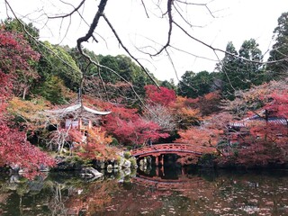 [Japan] The Bentendo Hall of Daigo-ji Temple, a famous spot for autumn foliage (Kyoto)