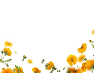 Foto op Plexiglas Overlay with isolated flying yellow flowers and petals on transparent backgropund. Floral border  © VICUSCHKA