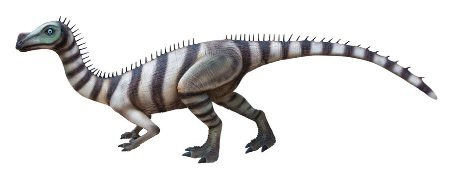 Unaysaurus is a genus of unaysaurid sauropodomorph herbivore dinosaur, Unaysaurus lived in the Triassic period, Unaysaurus with transparent background