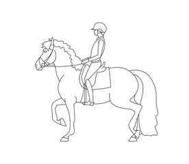Rider rides a heavy horse, hobby equestrian sport
