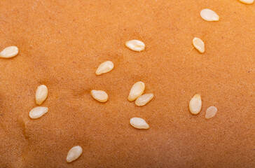 hamburger bun background with sesame macro