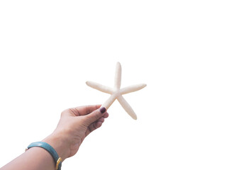 hand holding starfish shape isolated on white background