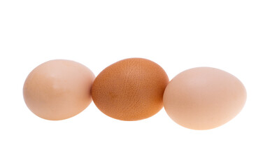 chicken egg isolated